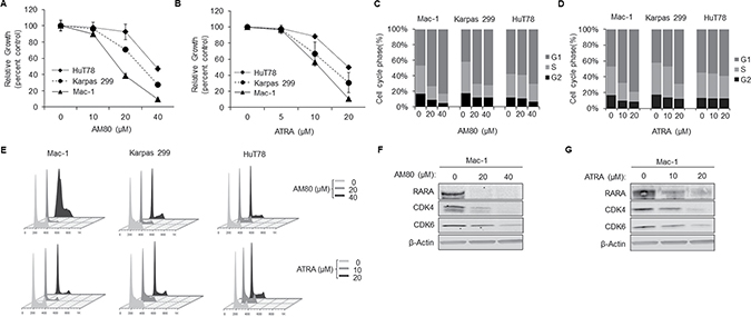 Retinoids cause G1-arrest and concurrent inhibition of RARA and CDK4/6 expression.