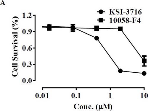 In vitro cell death assay for KU19-19/GEM cells in the presence of KSI-3716. (A)