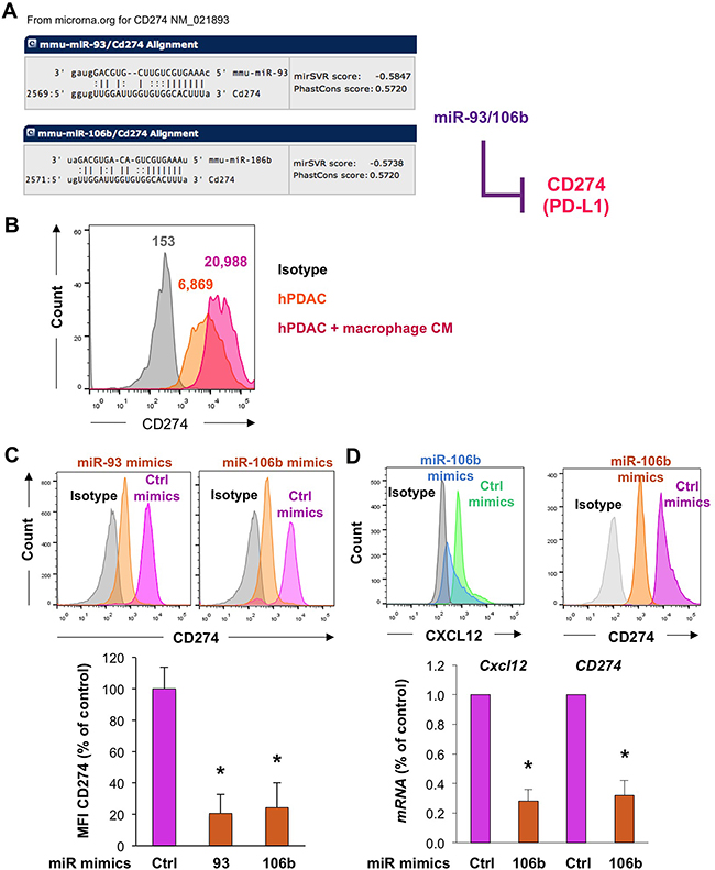 Regulation of the miR-25-93-106b target CD274 in pancreatic cancer cells.