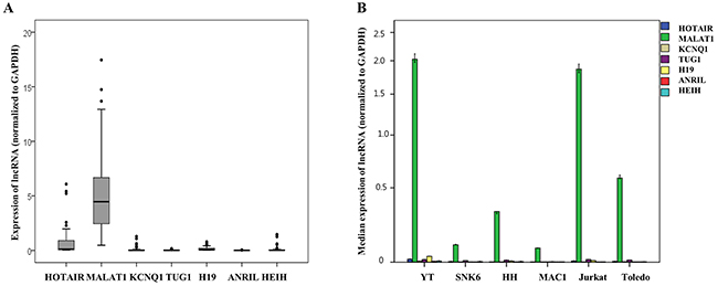 Quantitative expression analysis of seven long non-coding RNAs (lncRNAs) mRNA normalized to GAPDH expression in (A) clinical samples of patients with T and NK cell lymphomas and (B) six cell lines.