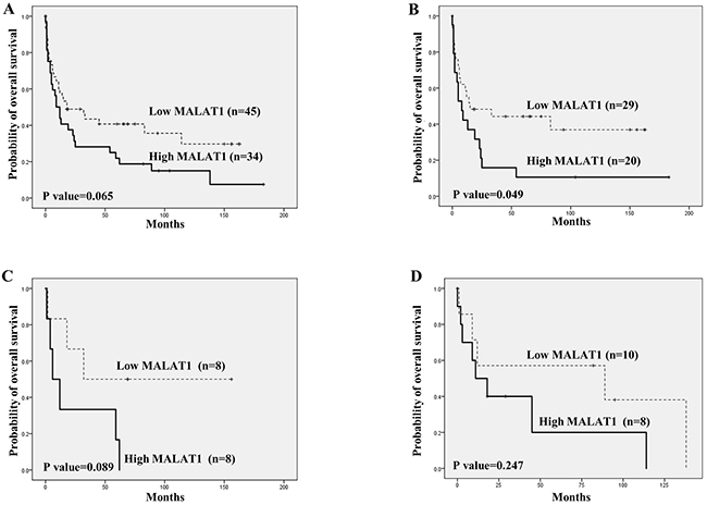 Overall survival analysis according to MALAT1 expression in T and NK cell lymphomas using Kaplan-Meier curves.