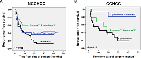 Impacts of TERT nuclear and cytoplasmic expressions on recurremce-free survival of patients with NCCHCC and CCHCC.