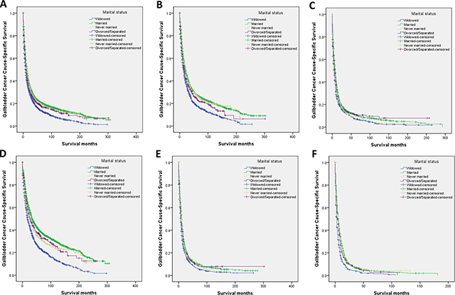 Survival curves in gallbladder cancer patients treated with surgical resection according to marital status.
