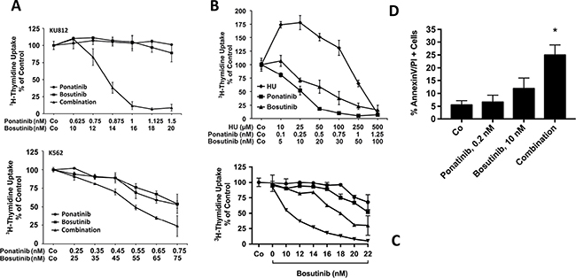 Drug combination effects in CML cells.