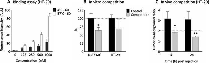 Binding assay and in vitro and in vivo competition experiments.