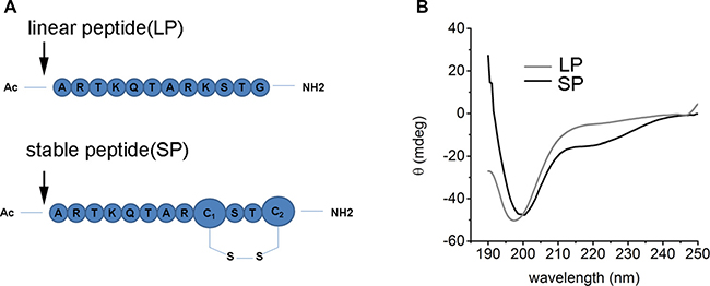 The characterization of LSD1 peptides.