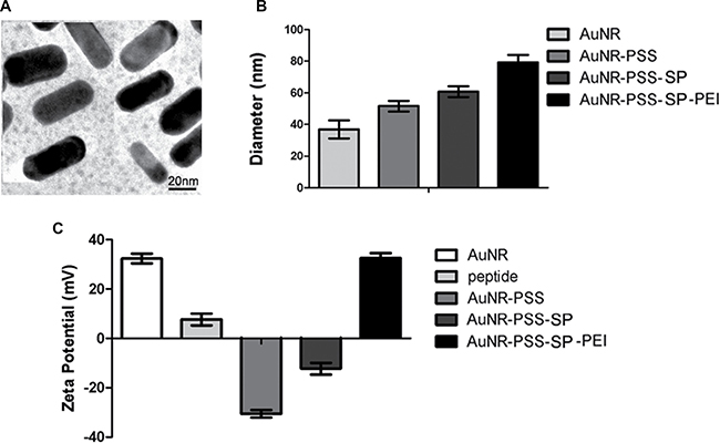 Morphology and characterization of gold nanorods (AuNRs).