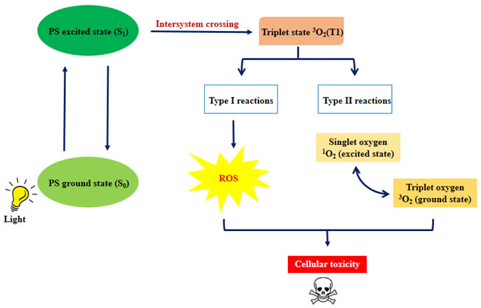 Mechanism