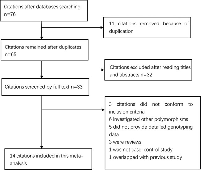 Selection for eligible publications included in this meta-analysis.