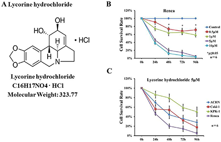 Effects of lycorine hydrochloride on the viability of renal carcinoma cells in vitro.