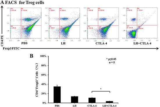 The frequency of CD4+ Foxp3+ Tregs in peripheral blood.