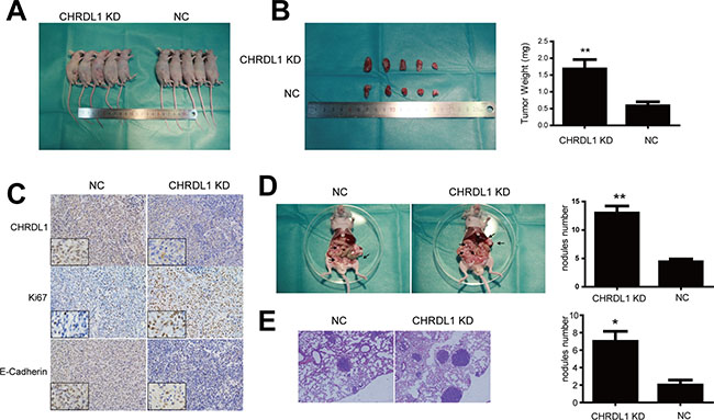 Figure 6: