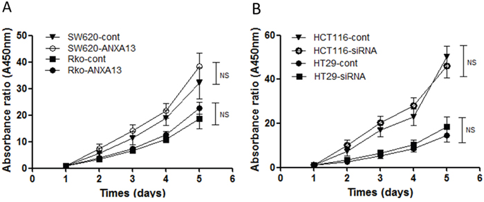 MTT assay indicates that ANXA13 has no effect on cell viability.