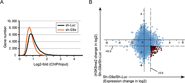 Combined analyses of ChIP-seq and RNA-seq in Huh7 cells.