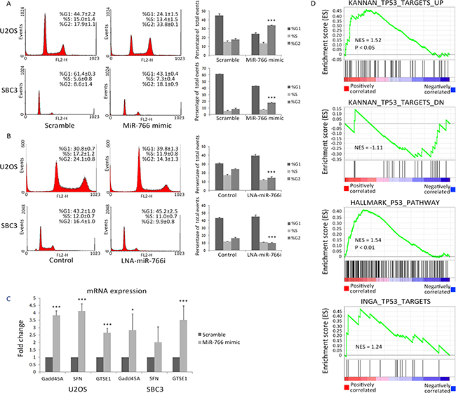 miR-766 is positively correlated with active p53 signalling.