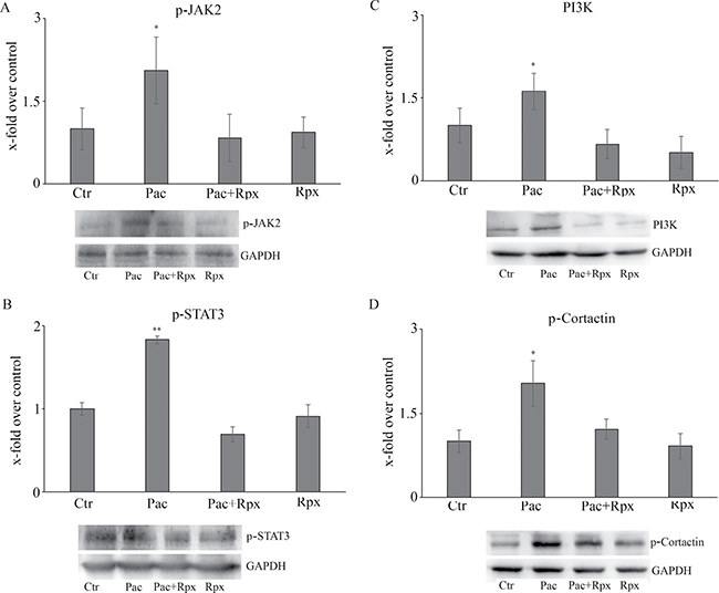 Figure 4: