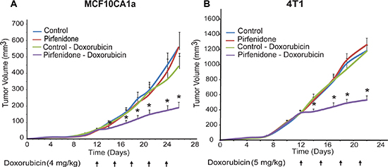 Pirfenidone increases anti-tumor efficacy of chemotherapy.