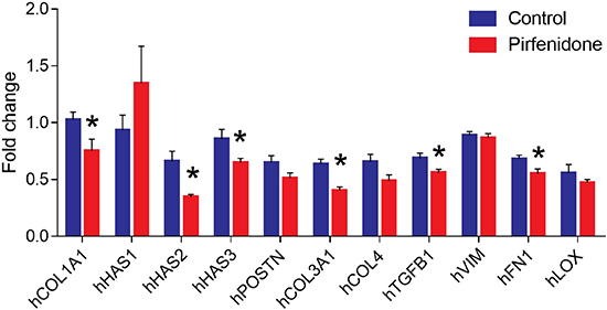 Pirfenidone suppresses human COL1A1, HAS2, HAS3, COL3, TGFB1 and FN1 gene expression levels.