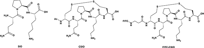 Structures of SIO, CSIO peptide and FITC-Labeled CSIO peptide.