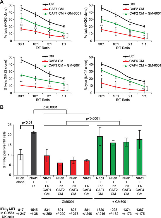 The inhibition of MMPs activity in melanoma-associated fibroblasts conditioned media partially restores tumor cell susceptibility to NK cell-mediated lysis and interferon-g production by NK cells.
