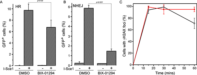 BIX-01294 blocks HR and NHEJ mediated DNA repair.