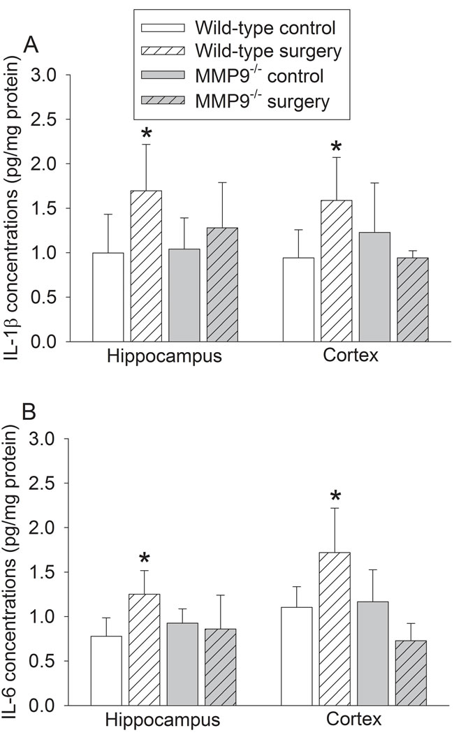 Effects of surgery on proinflammatory cytokine expression in wild-type and MMP9