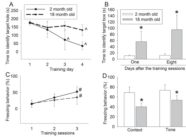 Effects of age on learning and memory in wild-type mice.