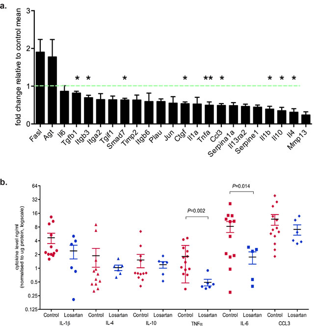 Inhibition of AT1R with Losartan decreases tumor cytokine production.