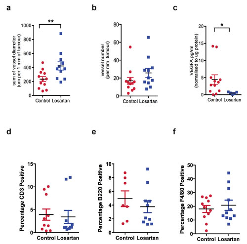 Losartan treatment increases peripheral blood vessel diameter and reduces VEGFA levels in tumors.