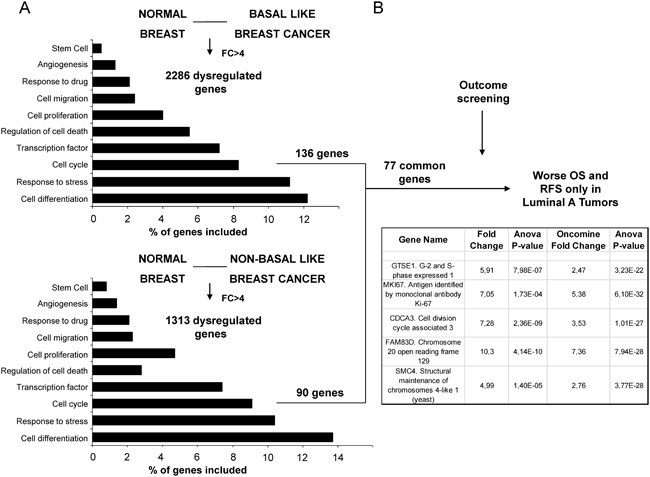 Identification of genes associated with detrimental outcome in Luminal A tumors.
