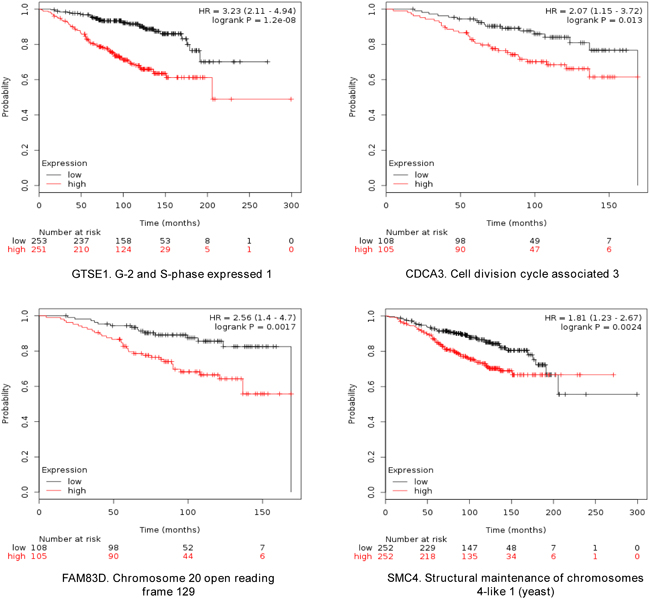 Association of GTSE, CDCA3, FAM83D and SMC4 individually with overall survival in Luminal A tumors, using KM Plotter online tool, as described in material and methods.