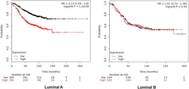 Association of the combined analyses of GTSE, CDCA3, FAM83D and SMC4 with relapse free survival in Luminal A. and B. tumors using KM Plotter online tool, as described in material and methods.