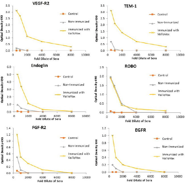 Antibody responses to tumor endothelial markers.