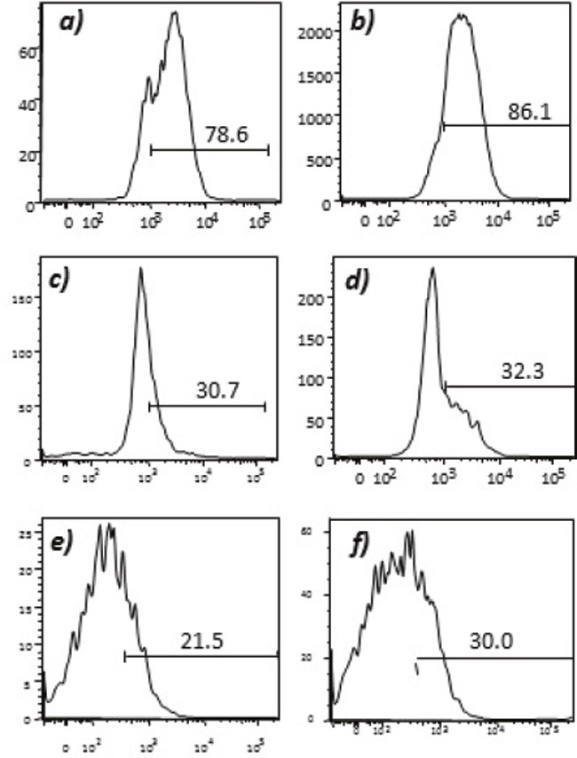 Expression of tumor endothelial markers on umbilical endothelial cells prior to interferon gamma treatment.