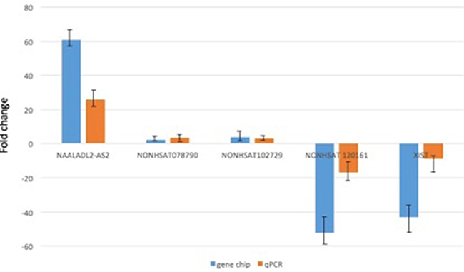 qRT-PCR validation of 5 differentially expressed lncRNAs in 20 DLBCL tumor samples.