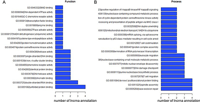 The top 200 GO terms or pathways for the difference lncRNA co-expression genes between the DLBCL cells and normal B cells.