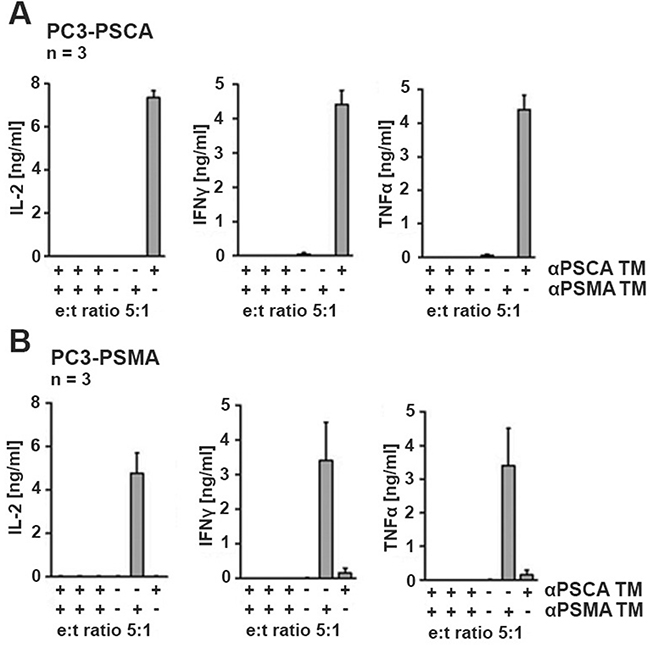 Analysis of cytokine release from UniCAR T cells.