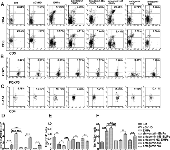 Inhibition of miR-155 in EMPs influences T lymphocytes differentiation in aGVHD mice.