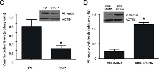 Figure 6: