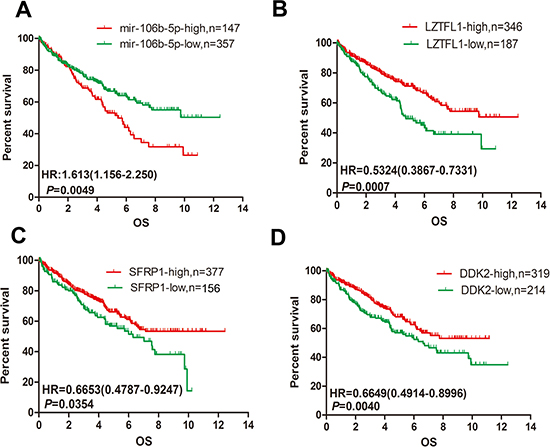 Upregulation of miR-106b-5p and downregulation of LZTFL1, SFRP1 and DKK2 is correlated with poor prognosis in ccRCC.