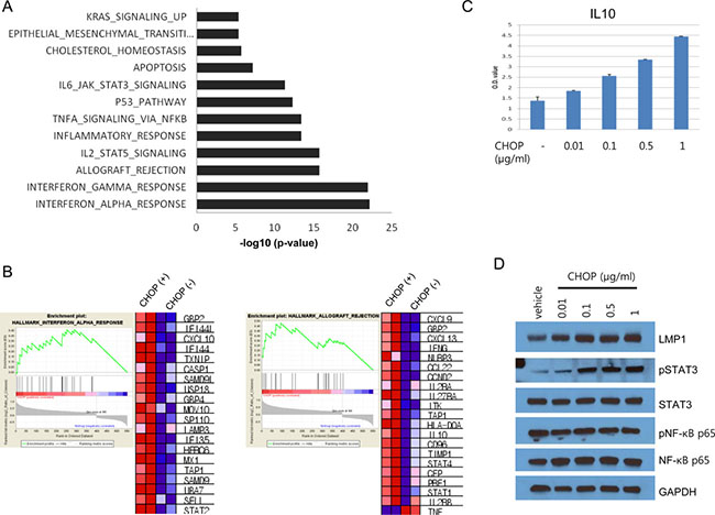 Gene set analysis of CHOP-surviving cells and IL10 expression.