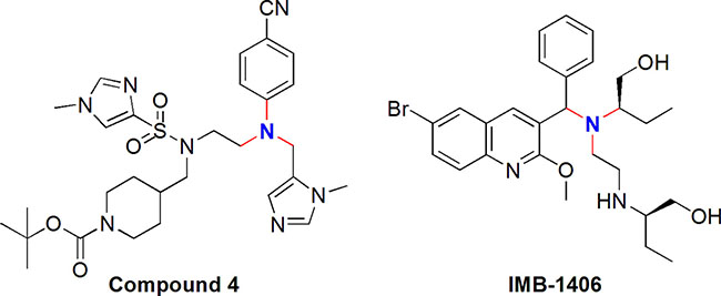Chemical structures of Compound 4 and the most active compound IMB-1406 used in the present study.