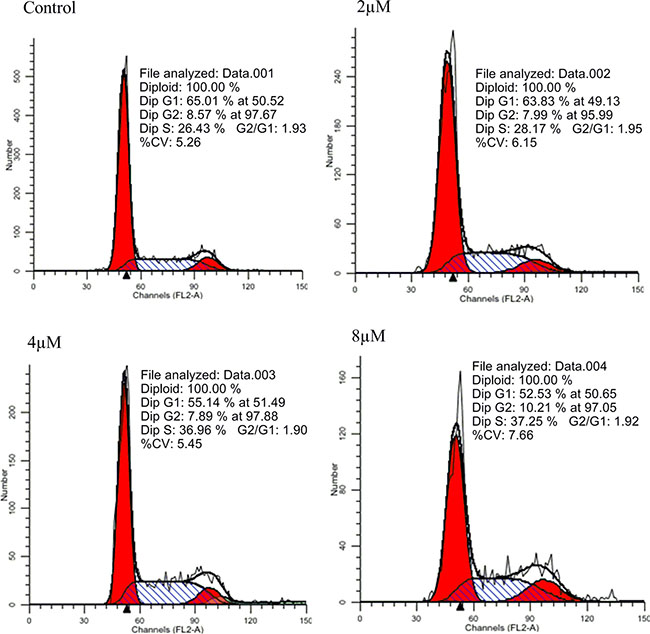 Effects of IMB-1406 on cell cycle of HepG2 cells.