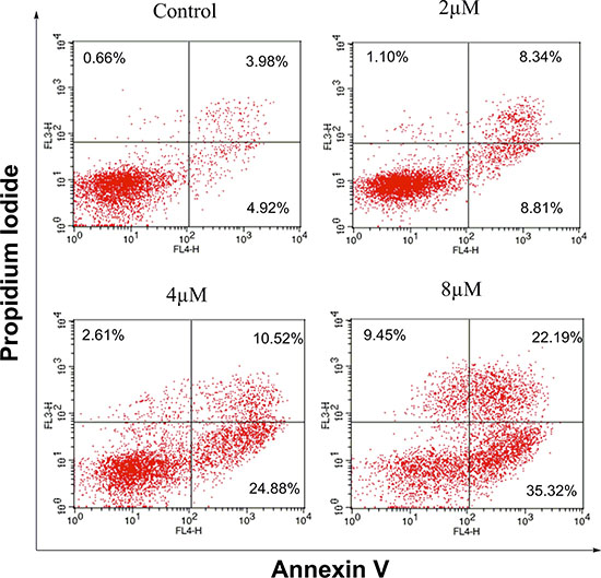 Effects of IMB-1406 on induction of HepG2 cell apoptosis.