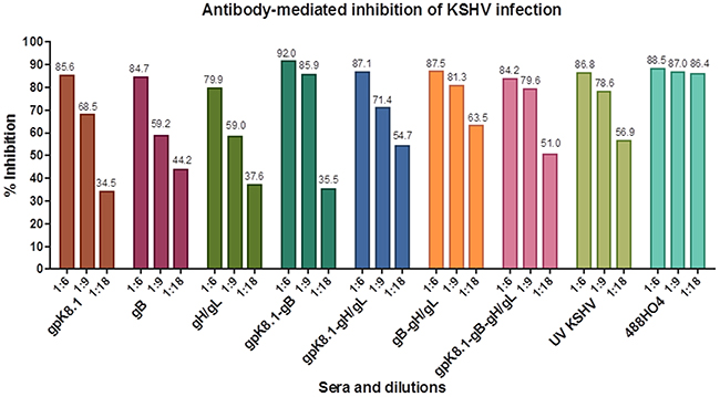 Neutralization assay of KSHV-eGFP with sera from mice immunized with KSHV VLPs.