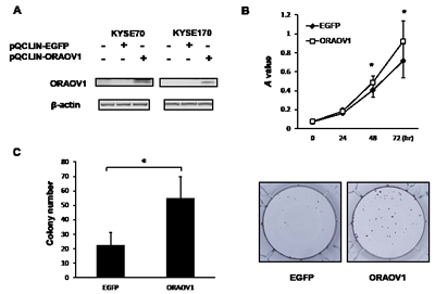 Figure 4: