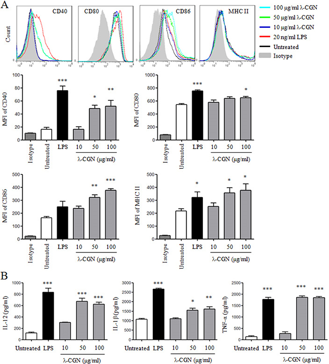 &#x03BB;-CGN promotes DC maturation and cytokine production.