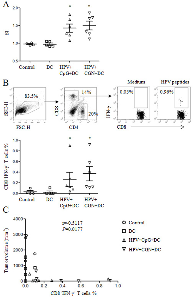 HPV DC-based vaccines induced antigen-specific cellular responses.