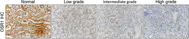 Figure 5: