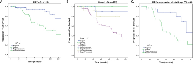 10-years PFS in Kaplan-Meier survival curve in patients with HIF-1&#x03B1; positive MTC compared to patients with HIF-1&#x03B1; negative MTC.